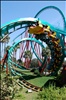 Kumba - Busch Gardens